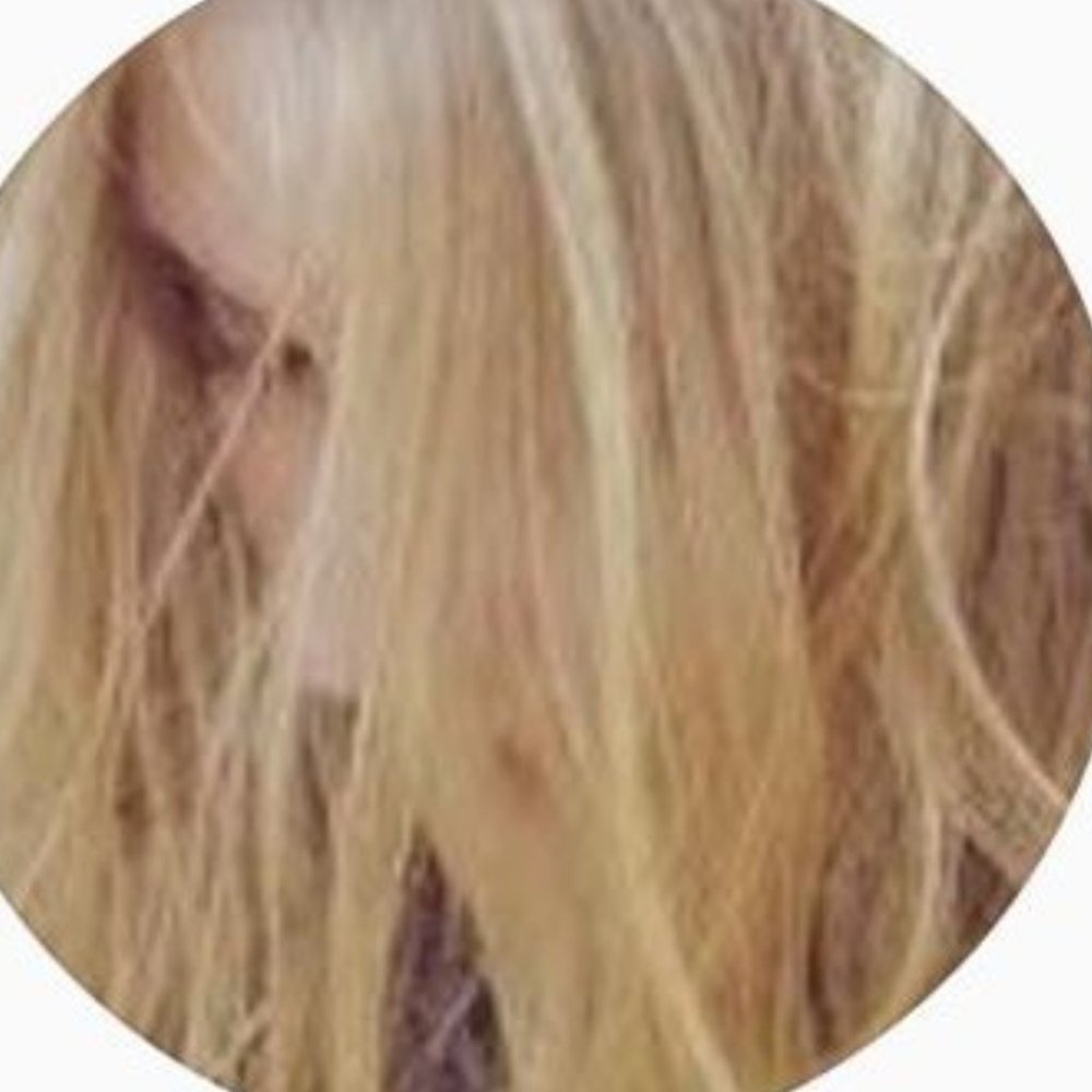 Meet your Posher, Heather ann